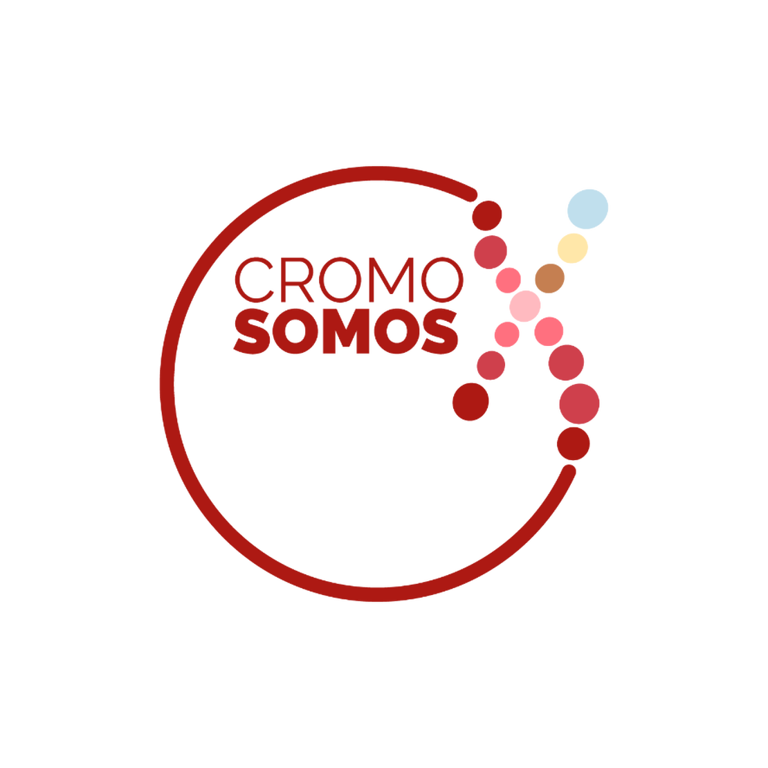 Cromosomos X